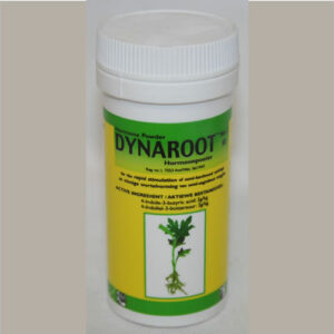 Dynaroot 2 30gms powder rooting stimulator
