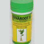 Dynaroot 3 30GMS powder rooting stimulator
