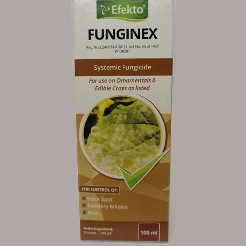 Efekto Funginex 100ml