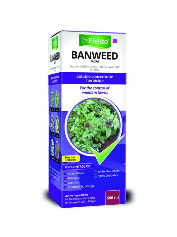 A soluble concentrate herbicide for the control of annual broadleaf weeds, as listed, in lawns and turf. Broad spectrum of soft broadleaf weed control Control of common broad-leaved weeds in newly planted lawns Does not kill grass lawn when used according to directions Suitable for use on buffalo lawns