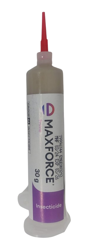 WhatsApp_Image_2025-10-31_at_12.46.27-removebg-preview