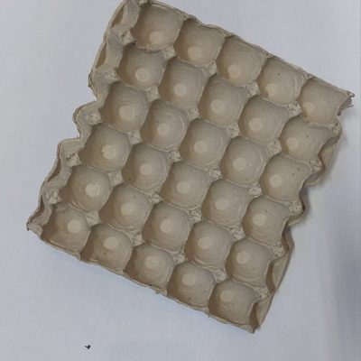 Egg Tray 30s Min 100 R2.20 EACH