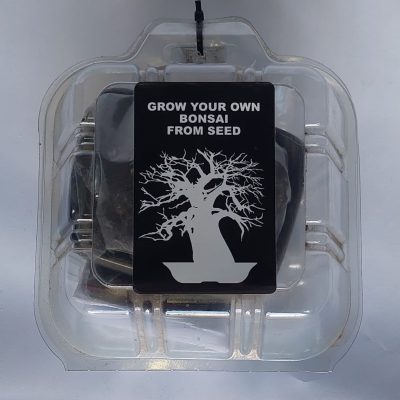 Bonsai Seeds Trees (Grow your  Bonsai from Seeds )